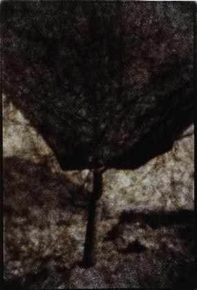 조남붕, <내면의 풍경 1>, 1993