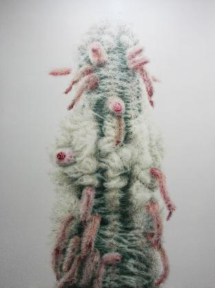 Kwangho Lee, Cactus No.84, 2012