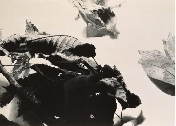 이영애, <내 날개 아래 바람 1>, 1995, 120.5x171cm, 애쿼틴트, 국립현대미술관 미술은행 소장