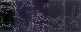 Whang In-Kie – Artist of the Year 1997