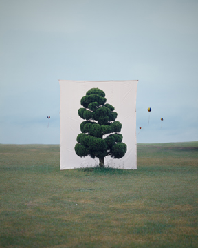 Myoung-Ho Lee, Tree 2, 2007