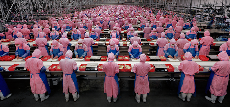 에드워드 버틴스키, <제조 17번, 더후이시 데다 닭 처리 공장, 중국 지린성>(2005)