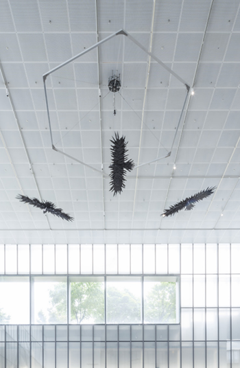 최우람, ‹검은 새›(2022)
폐 종이 박스, 금속 재료, 기계 장치, 
전자 장치, 가변설치(3).