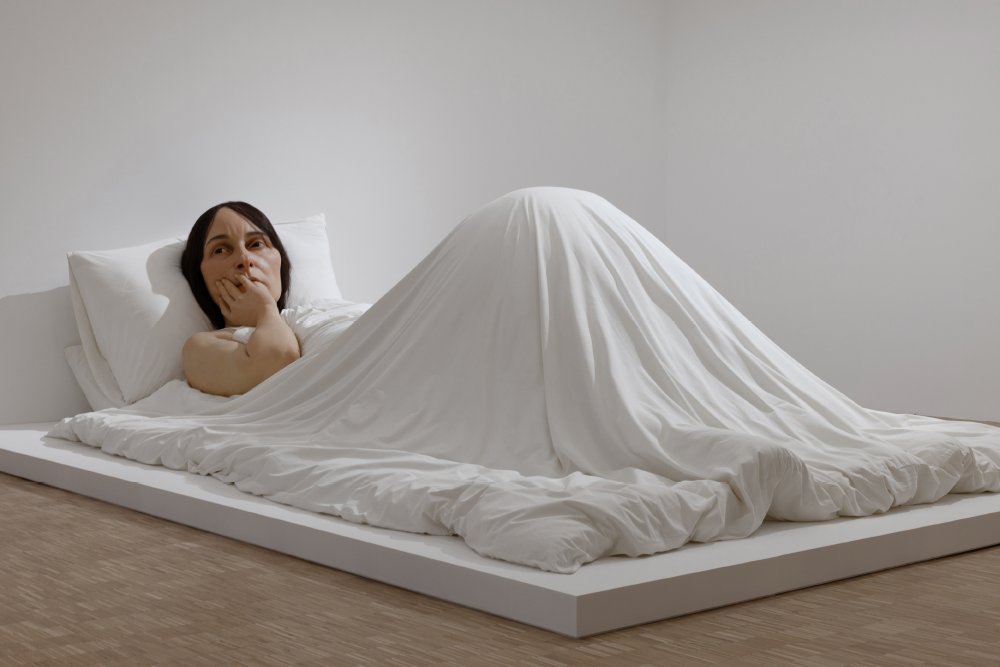 ‹침대에서›(2005) 혼합 재료, 162×650×395cm, 까르띠에 현대미술재단 컬렉션