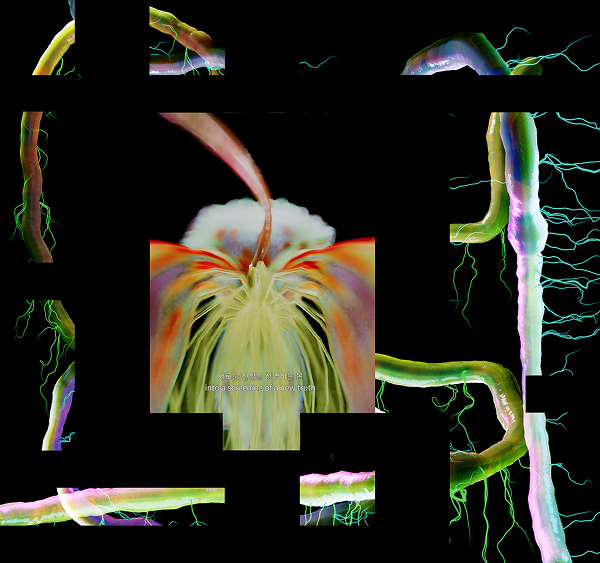 김을지로, ‹시밀리아 시밀리부스 쿠란투르›(2025)