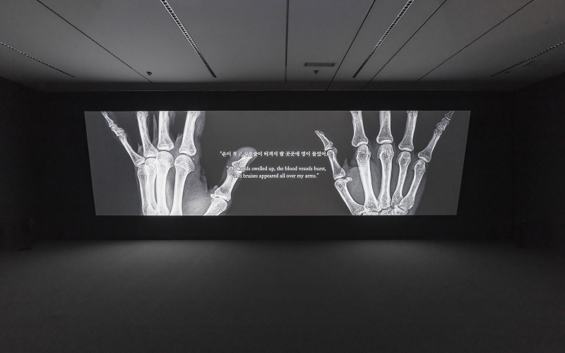 이은희 작가 전시 전경