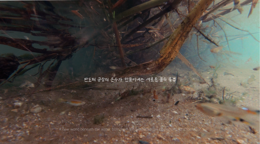 장한나, ‹신자연; Being›(2025) 단채널 영상, 컬러, 사운드, 7분 40초