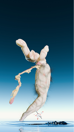 추수, ‹살의 여덟 정령—간›(2025) 영상, 컬러, 사운드 음악: 마르텐 보스 / 3D 그래픽 팀: 로이드 마크바트, 지언 쾨니히 / 에디팅 어시스턴트: 김소희