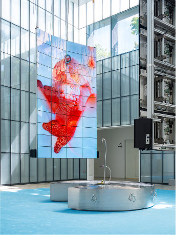 «MMCA×LG OLED 시리즈 2025: 추수 – 아가몬 대백과: 외부 유출본» 전시 전경