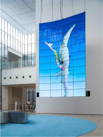 «MMCA×LG OLED 시리즈 2025:  추수 – 아가몬 대백과: 외부 유출본» 전시 전경