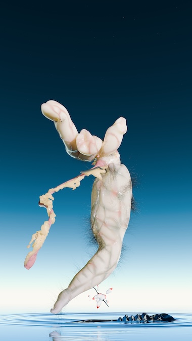 TZUSOO, The Eight Spirits of Flesh—GAN, 2025, video, color, sound, 13’6’’. Music: Maarten Vos / 3D Graphics Team: Lloyd Marquart, Zion König / Editing Assistant: Sohee Kim