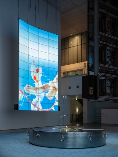 Installation View of Agarmon Encyclopedia: Leaked Edition. Photo: Hong Cheolki. Courtesy of MMCA