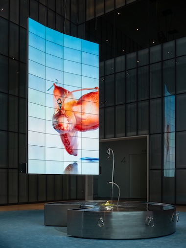 Installation View of Agarmon Encyclopedia: Leaked Edition. Photo: Hong Cheolki. Courtesy of MMCA