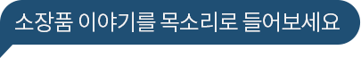 소장품 더보기를 AI음성으로 만나보세요