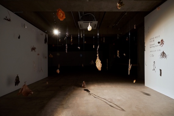 Earth Star, 2022-2024, dried plants for three years, Dimension Variable. Photo: Lee Euirock 
