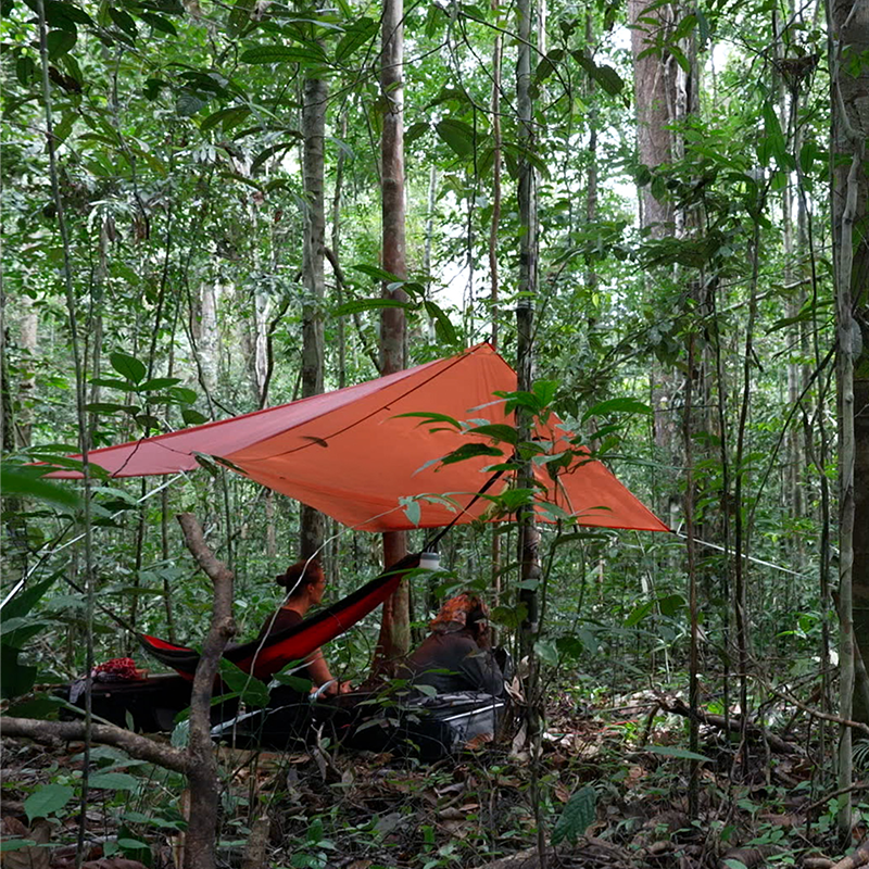 다원예술 2025  «숲» - ‹후탄(숲)›