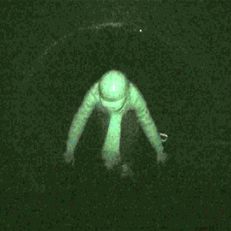 다원예술 2025  «숲» - 홍이현숙, ‹오소리 A씨의 초대 2›