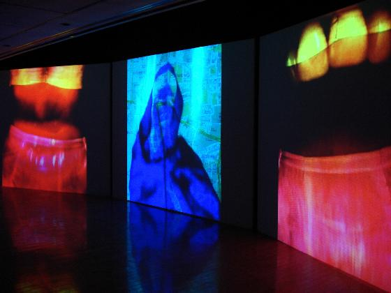 Nalini Malani, Mother India: Transactions in the Construction of Pain, 2005 