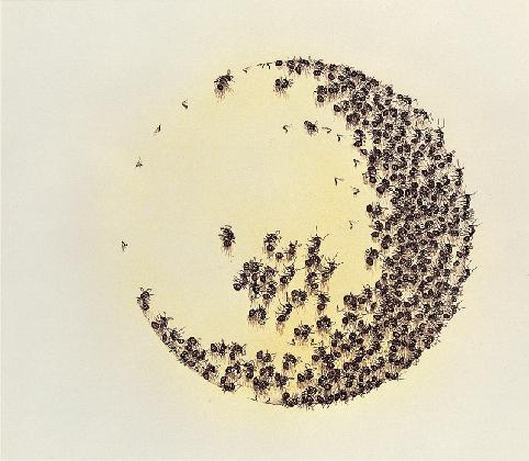 Won Suk-yun, <Ants>, 1976
