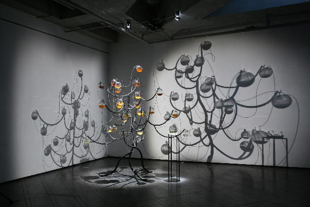 장지아, <P-tree>, 2007