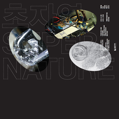 2014  现场装置作品展 <超自然>