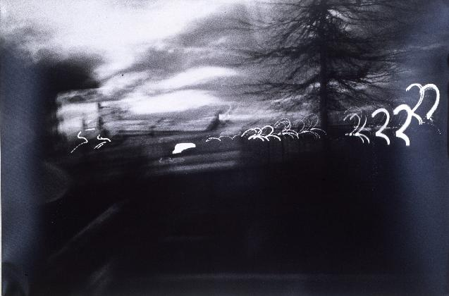 Lim Young Kyun, <Untitled 853009>, 1985