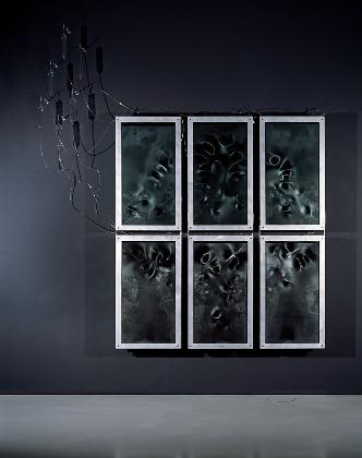 金允哲Yun Chul Kim, < 照耀，Effulge >, 2012/14