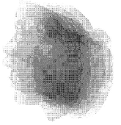 Marine Dominiczak, <self-portrait>, 2015