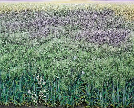 Lee Sookja, <Four Season of Barley FieldⅠ- A Korean Lettuce>, 2008