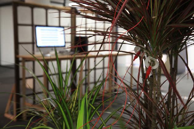 김지원, 《식물 생체전기신호와 소니피케이션 리서치》, 2016