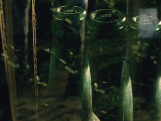 데이비드 개튼(David Gatten), <연애에 관하여>, 2007