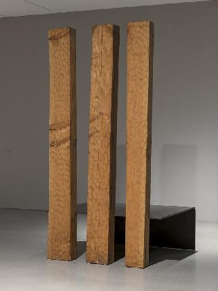 Shim Moonseup, 〈Metaphor〉, 2005