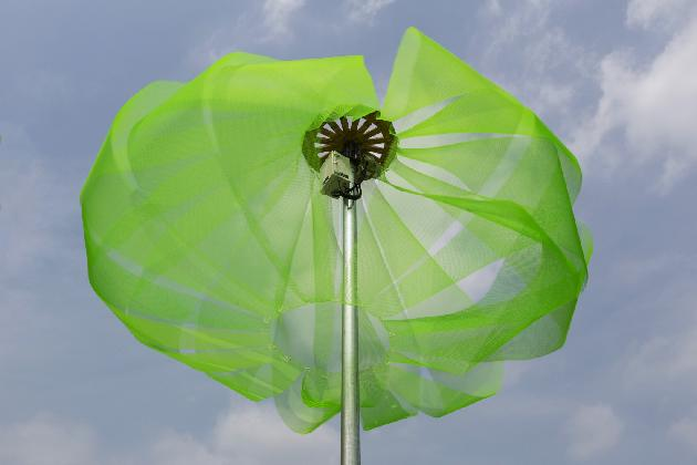 삶것(양수인), <원심림>, 2017  (사진: 홍철기)