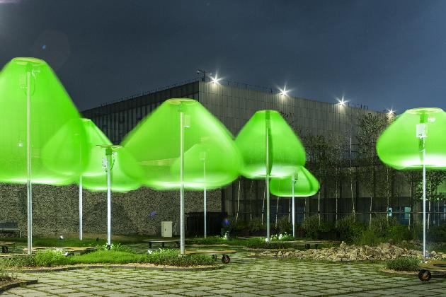 삶것(양수인), <원심림>, 2017  (사진: 홍철기)