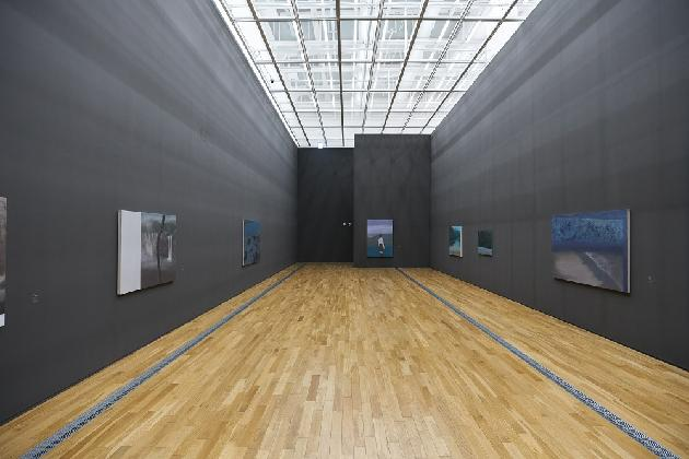 써니킴, 전시 전경 Installation view