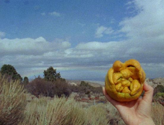 Laida Lertxundi, 〈Words, Planets〉, 2018