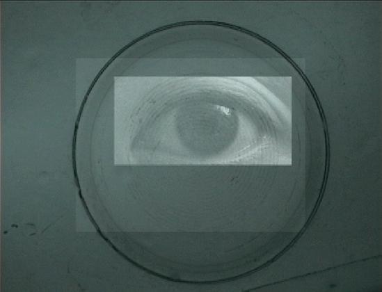 함양아, <감각의 공간>, 1998, 싱글채널 비디오, 컬러, 사운드, 9분 31초, 작가 소장