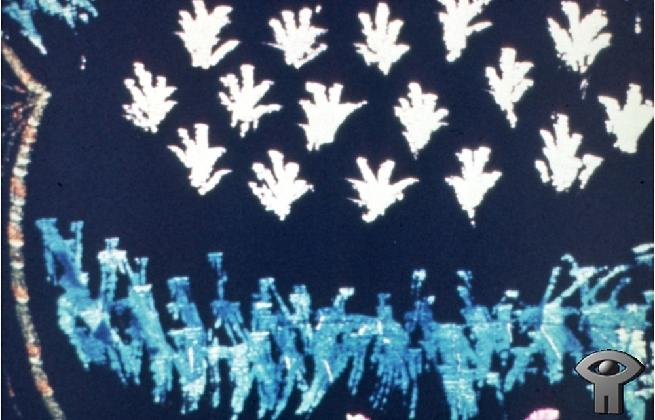 Norman McLaren, 〈Blinkity Blank〉, 1955, National Film Boards of Canada