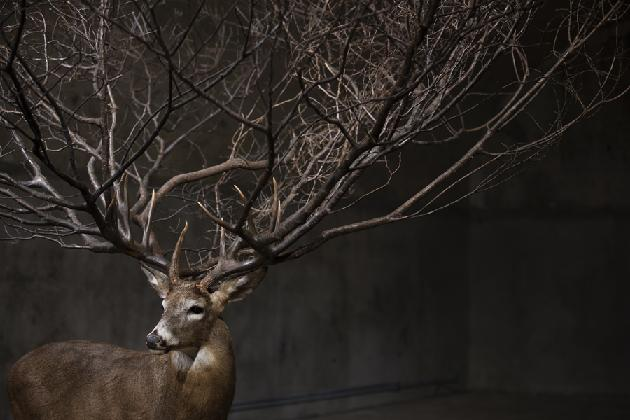 Kim Myeongbeom, 〈One〉, 2021, stainless steel and mixed media, 370×510×380cm