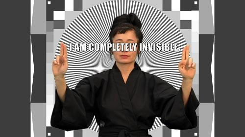 Hito Steyerl, ‹How Not to Be Seen: A Fucking Didactic Educational .MOV File›, 2013