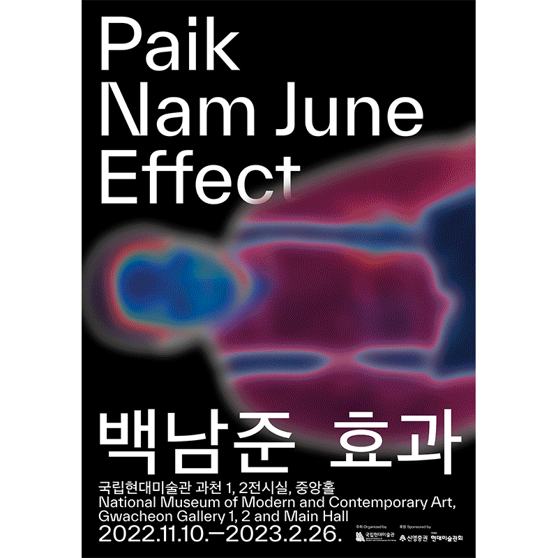 Paik Nam June Effect