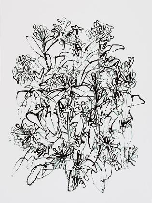 엄유정, ‹줄댕강나무›, 2023, 종이에 아크릴릭 잉크, 40×30cm