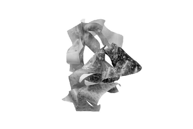 크리스틴 크라우제 슬루카, ‹MAPPING TENSIONS: CARTOGRAPHY OF DISTORTED BOUNDARIES›, 2024, 실버 젤라틴 사진 용지 “Universa