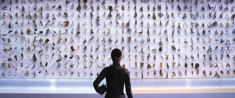 MOON Kyungwon & JEON Joonho(2009-), ‹News from Nowhere›, 2011 - 2012, Two-channel video, objects, documents , Dimensions variable installation