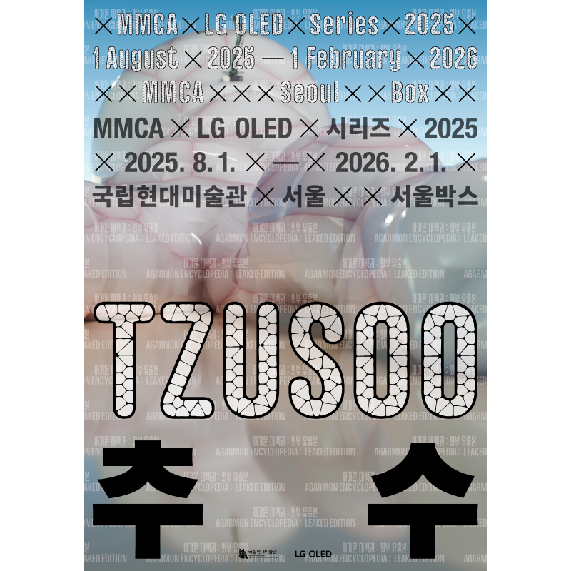 MMCAX LG OLEDシリーズ2025—TZUSOO 