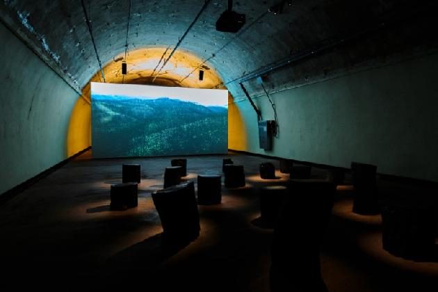 장민승+정재일, ‹상림›, 2014(2025년 재제작), 영상 설치; 단채널 영상, 컬러, 스테레오 사운드; 산불로 탄화된 소나무 조각, 조명, 영상: 47분, 오브제 가변크기(12)