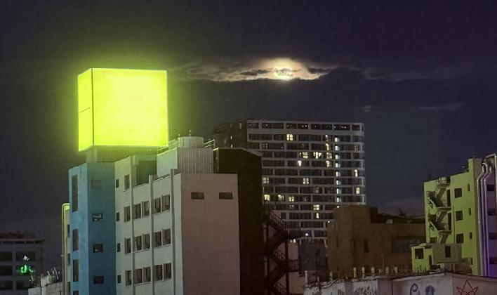 Sofia Albina Novikoff Unger, ‹Eclipsing Cilia›, single-channel video, color, sound.