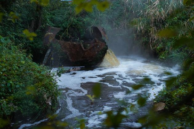 Mari-Leen Kiipli, ‹Niina Gone Fishing›, 2021/2025, hanji paper, dried plants, HD, single-channel video, color, 5 min. 49 sec.