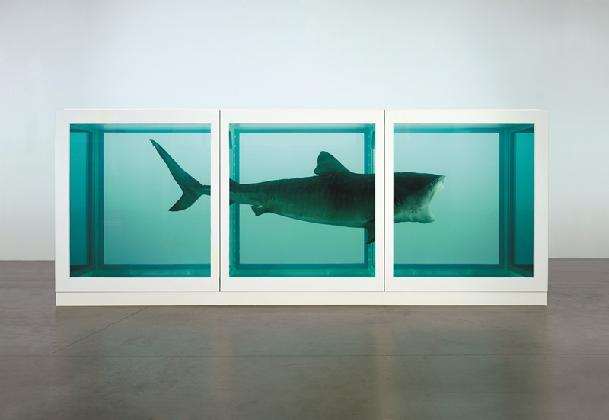 ‹살아있는 자의 마음 속 죽음의 물리적 불가능성›, 1991, 유리, 채색된 철, 실리콘, 모노필라멘트, 상어, 포름알데히드 수용액, 217 × 542 × 180 cm. 개인 소장. © Damien Hirst and Science Ltd. All rights reserved, DACS 2026. Photographed by Prudence Cuming Associates