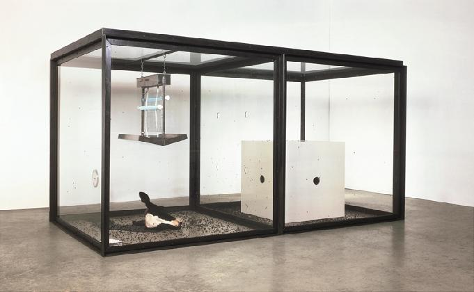 ‹A Thousand Years›, 1990, Glass, steel, silicone rubber, painted MDF, insect-o-cutor, cow’s head, blood, flies, maggots, metal dishes, cotton wool, sugar and water, 207.5 × 400 × 215 cm. Private Collection. © Damien Hirst and Science Ltd. All rights reserved, DACS/Artimage 2026. Photographed by Roger Wooldridge